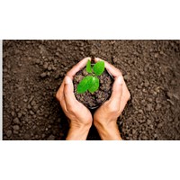 Mẫu đơn đăng ký chủ trì thực hiện nhiệm vụ sự nghiệp môi trường