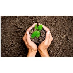 Mẫu đơn đăng ký chủ trì thực hiện nhiệm vụ sự nghiệp môi trường