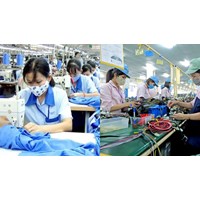 Lao động nữ được đi làm sớm khi chưa nghỉ hết thai sản không?