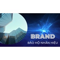 Hồ sơ yêu cầu sửa đổi thông tin trên văn bằng bảo hộ