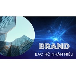 Hồ sơ yêu cầu sửa đổi thông tin trên văn bằng bảo hộ