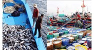 Khi nào tàu cá đi khai thác thủy sản phải làm thủ tục xuất cảnh, nhập cảnh?