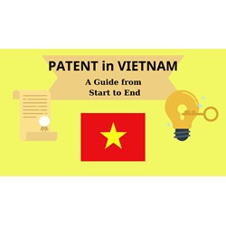 Vietnam's Patent Registration: A Complete Guide from start to end