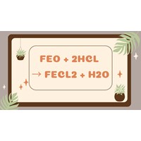 FeO + HCl → FeCl2 + H2O | Phương trình hoá học FeO ra FeCl2