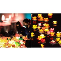 Điều kiện tổ chức lễ tưởng niệm nạn nhân tử vong do tai nạn giao thông