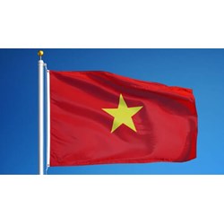 Hành vi xúc phạm đến lá cờ Việt Nam bị xử lý thế nào?