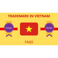 The most common questions about trademark registration in Vietnam
