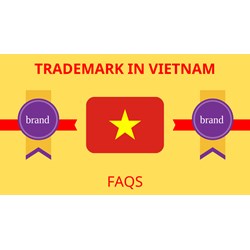 The most common questions about trademark registration in Vietnam