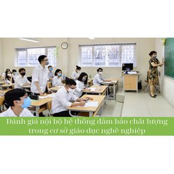 Đánh giá nội bộ hệ thống bảo đảm chất lượng hệ thống trong cơ sở giáo dục nghề nghiệp?