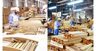 Để đề nghị xác nhận nguồn gốc gỗ xuất khẩu cần những giấy tờ nào?