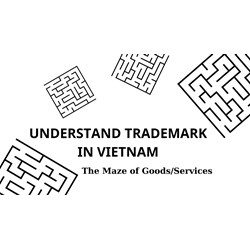 Vietnam Trademark Registration: Navigating the Good/Services Maze
