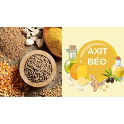 Dụng cụ dùng xác định hàm lượng axit béo trong thức ăn chăn nuôi?