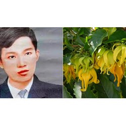 Tóm tắt Dưới bóng hoàng lan ngắn gọn, đầy đủ nhất kèm bố cục