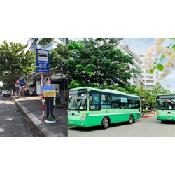 Quy định về điểm dừng xe buýt như thế nào?