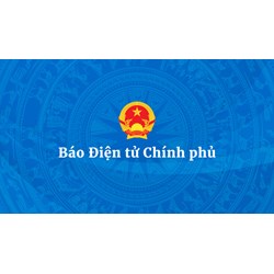 Trách nhiệm tổ chức và vận hành Báo điện tử Chính phủ thuộc về?