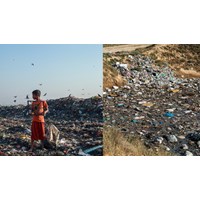 Việc ô nhiễm, suy thoái môi trường gây ra những thiệt hại nào?
