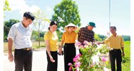 Quy định mới về lương, phụ cấp lương của Quỹ hợp tác xã