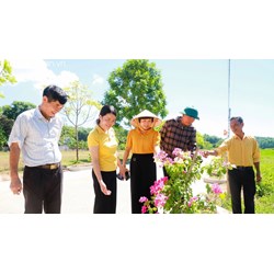 Quy định mới về lương, phụ cấp lương của Quỹ hợp tác xã