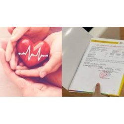 Hợp đồng bảo hiểm nhân thọ phải đảm bảo những nội dung gì?
