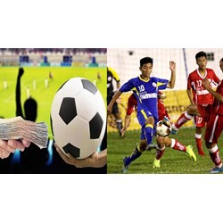 Người tổ chức bán độ bóng đá có tính chất chuyên nhiệm thì bị xử lý như thế nào?