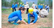 Quy định trách nhiệm kiểm soát và bảo vệ môi trường đất thế nào?