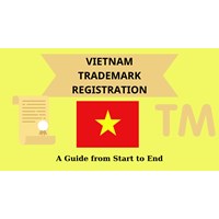 Vietnam Trademark Registration Service: Everything needed to know