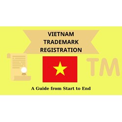 Vietnam Trademark Registration Service: Everything needed to know