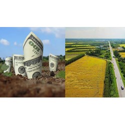Trường hợp nhà nước miễn tiền thuê đất cho dự án đầu tư ngừng hoạt động
