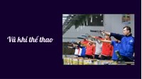 Trình tự, thủ tục vận chuyển vũ khí quân dụng, vũ khí thể thao