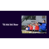 Trình tự, thủ tục vận chuyển vũ khí quân dụng, vũ khí thể thao
