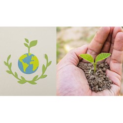 Nguồn vốn xã hội hóa cho bảo vệ môi trường lấy từ những nguồn nào?