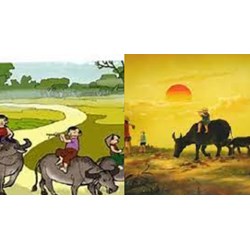 Cảm nhận nhan đề hoặc một hình ảnh đặc sắc trong Thiên Trường vãn vọng