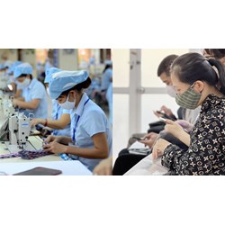 Hỗ trợ chi phí đào tạo trình độ sơ cấp cho lao động nữ bị mất việc
