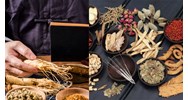 Báo cáo kết quả sử dụng thuốc cổ truyền tại cơ sở khám chữa bệnh