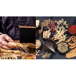 Báo cáo kết quả sử dụng thuốc cổ truyền tại cơ sở khám chữa bệnh