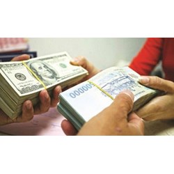 Có phải định giá tài sản không khi tài sản góp vốn là Đô la Mỹ?