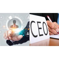 Giám đốc doanh nghiệp nhà nước có quyền và nghĩa vụ như thế nào?