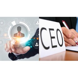 Giám đốc doanh nghiệp nhà nước có quyền và nghĩa vụ như thế nào?