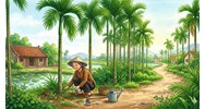 Tóm tắt văn bản Người mẹ vườn cau ngắn gọn, đầy đủ nhất