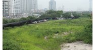 Thời gian ngừng hoạt động dự án đầu tư để khắc phục vi phạm pháp luật