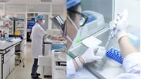 Cơ sở về an toàn sinh học cấp 3 được xét nghiệm vi sinh vật nhóm 4?