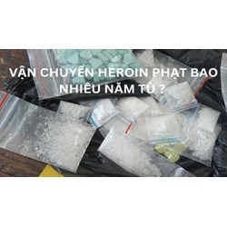 Vận chuyển 12 bánh heroin thì sẽ bị phạt tù bao nhiêu năm?