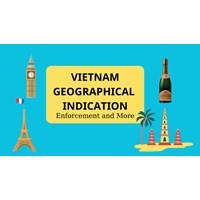 Geographical indication and IPR Enforcement and More in Vietnam