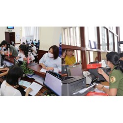 Các chức danh Trưởng phòng nghiệp vụ được xử phạt vi phạm hành chính các lĩnh vực