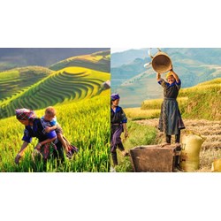 Mức hỗ trợ người có uy tín trong đồng bào dân tộc thiểu số