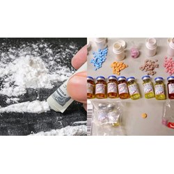 Đề nghị cho phép nghiên cứu chất ma túy, tiền chất cần giấy tờ nào?