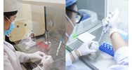 Cơ sở xét nghiệm an toàn sinh học cấp 2 có được xét nghiệm vi sinh vật nhóm 3
