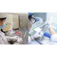 Cơ sở xét nghiệm an toàn sinh học cấp 2 có được xét nghiệm vi sinh vật nhóm 3