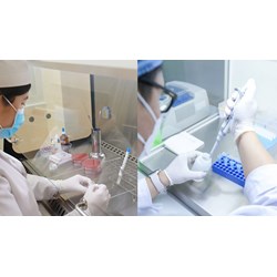 Cơ sở xét nghiệm an toàn sinh học cấp 2 có được xét nghiệm vi sinh vật nhóm 3