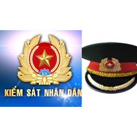 Tổng biên chế, số lượng, cơ cấu tỷ lệ ngạch Kiểm sát viên của VKSND
